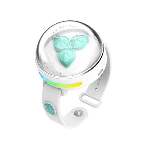 콘서트장의 감동을 손목에! 데이식스 라이트밴드 VER 3 솔직 후기 마데워치