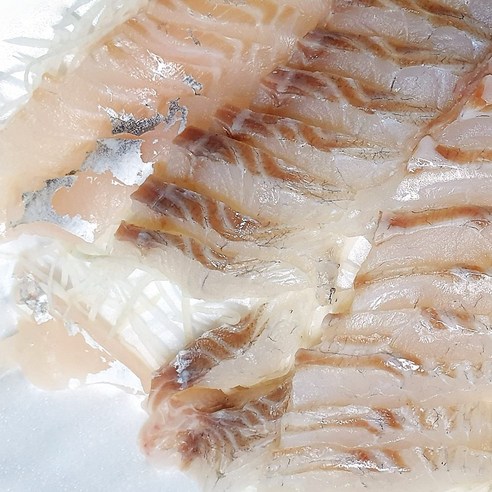 남해안 농어회 1kg 손질 생선회 320g내외 제철 농어 흰살 생선 횟감, 320g, 1개
