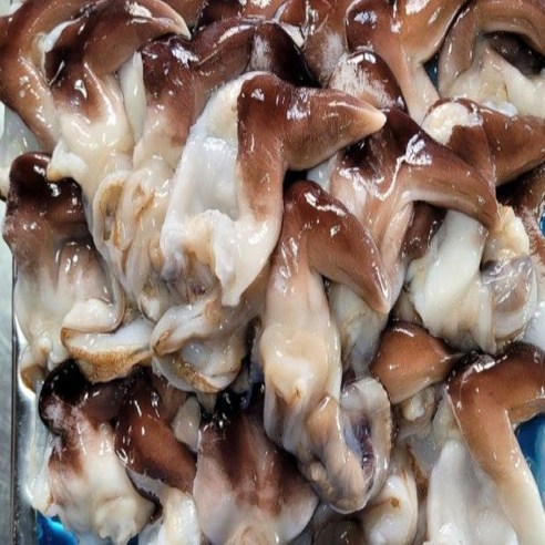 [잇팅나우ㅣ인기상품] 여수의 진미, 손질 새조개: 맛과 편리함의 완벽한 조화 [EatingNOWㅣ추천상품]