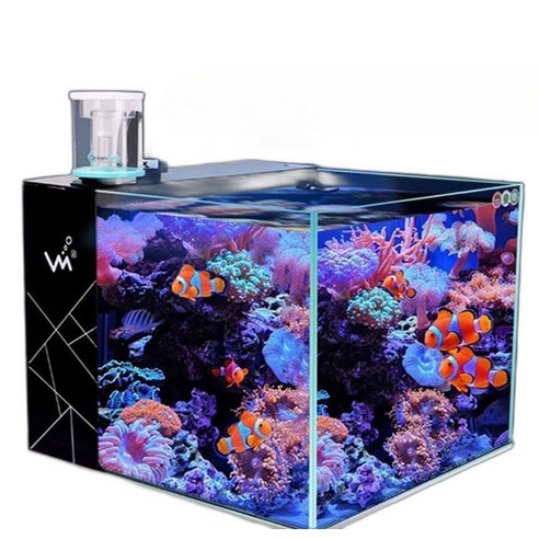 푸른 꿈을 담는 작은 바다, 마린코스트 미니어항으로 떠나는 특별한 여정 마린코스트