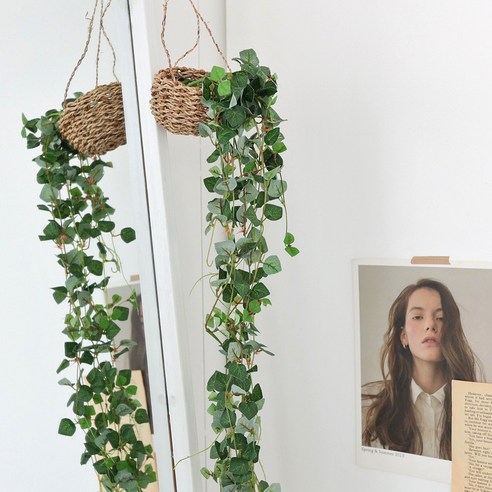 칙칙한 공간을 생기 넘치는 나만의 정원으로 바꿔보세요!