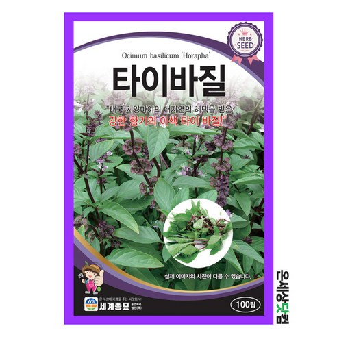 타이바질 100립 / 허브 씨앗 종자 꽃밭만들기 화단만들기 - 꽃씨앗 | 쿠팡