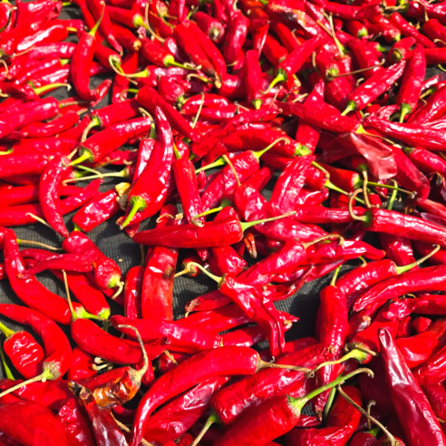 김장에 최적화된 고춧가루