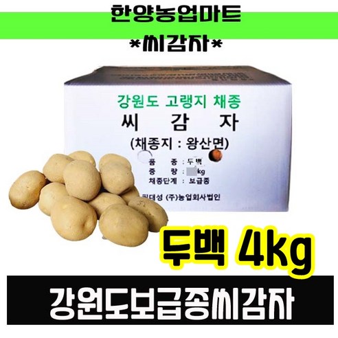 강원도 정품 씨감자 수미 대서 두백 20kg 10kg 4kg 씨앗사은품증정, 수미4kg(반찬용씨감자), 1개 Best Top5