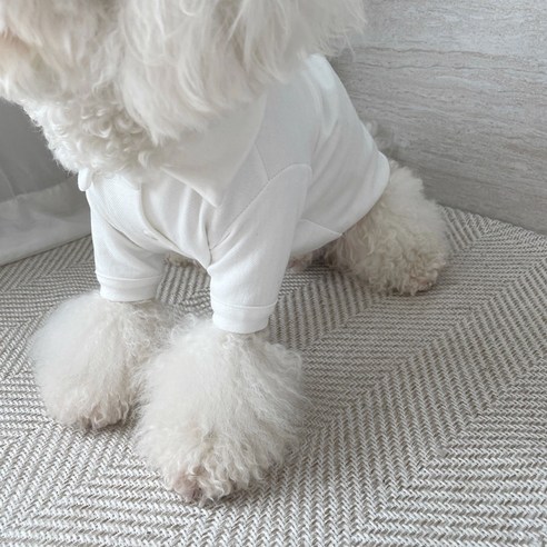 伴侶  寵物產品  小狗  貓  組合使用  服裝  T卹  狗  狗  狗