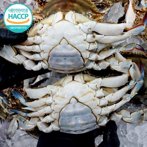 간편하게 즐기는 연평도 암꽃게, 맛과 편리함을 한 번에!