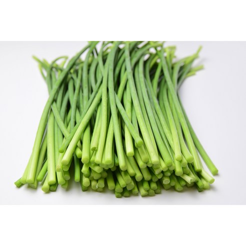 국내산 햇 마늘쫑 남해 마늘종 500g 1kg 2kg 5kg, 1개, 마늘쫑500g