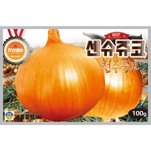 천주중고양파100g 씨앗 세계