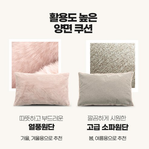 안전하고 편안한 반려견 여행을 위한 최선의 선택