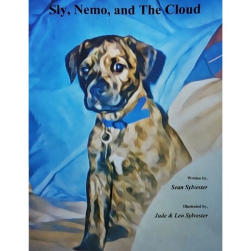 Sly Nemo and The Cloud Paperback, Independently Published