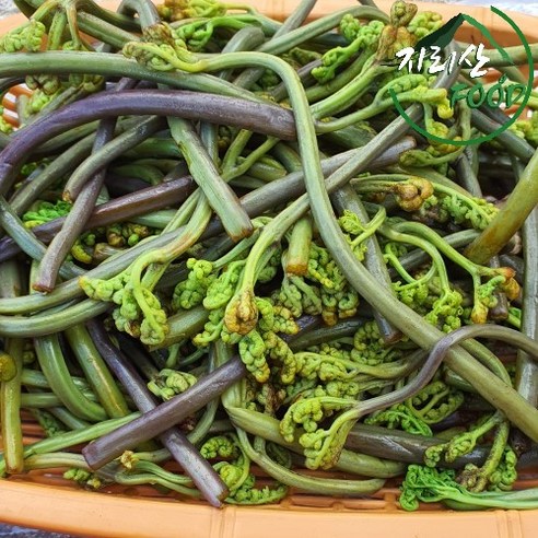 햇고사리 국산 산청 삶은 고사리 1kg데친 산고사리, 1개, 1kg