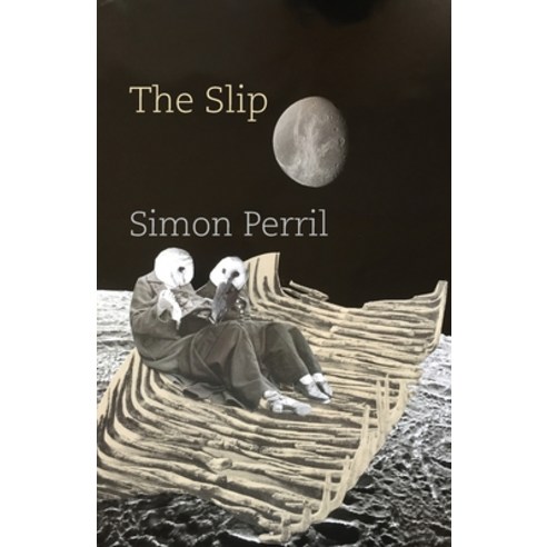 The Slip Paperback, Shearsman Books
