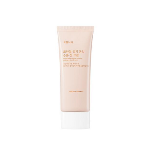 [NEW] 식물나라 뽀얀쌀 생기 톤업 수분 선 크림 100mL, 1개