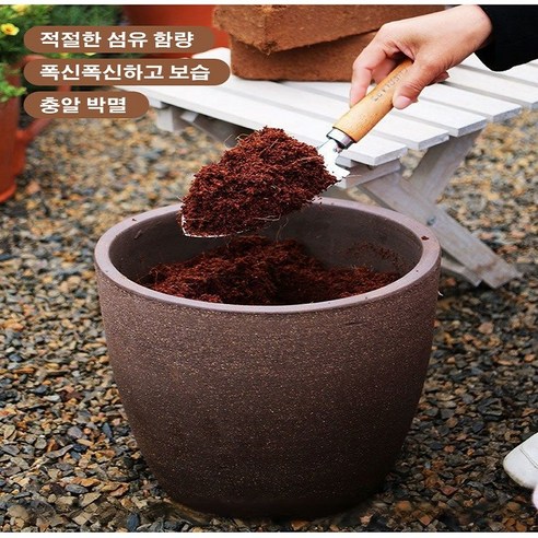 10년의 기다림, 코코넛 브릭 영양토로 싱그러움을 가꾸세요.