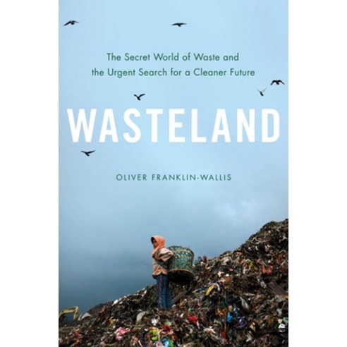 (영문도서) Wasteland: The Secret World of Waste and the Urgent Search for a Cleaner Future Hardcover, Hachette Books, English, 9780306827112