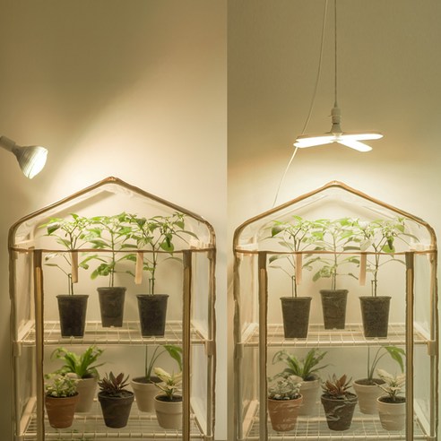 식물전파사 생생하우스 미니 온실 비닐하우스 L은 합리적인 가격과 훌륭한 품질을 제공합니다.