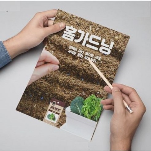 정원, 텃밭에 신선하고 향기로운 로즈마리 허브 키우기