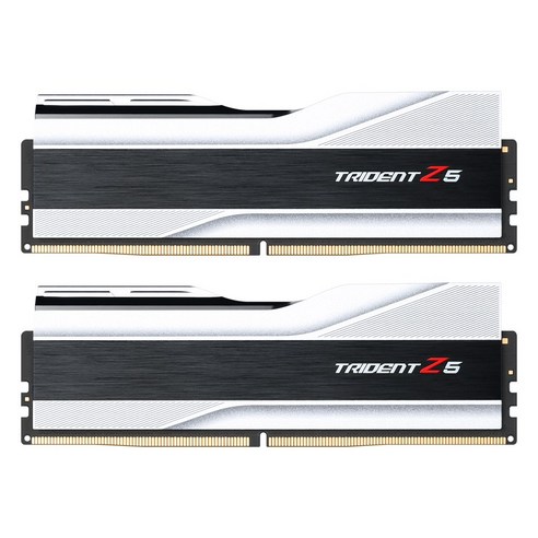 G.SKILL DDR5-6000 CL36 TRIDENT Z5 J 실버 패키지 (32GB(16Gx2)) Best Top5