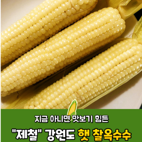 에약발송 7월 3일 출하 [산지직송]강원도 찰 옥수수 수확해서 보내드립니다, 찰옥수수 20개