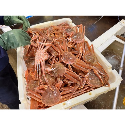 신선하고 고품질의 국내산 프리미엄 대게를 집에서 간편하게 즐기세요.
