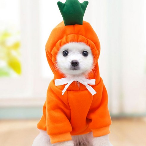 따뜻한 과일 모형 강아지 겨울 옷 후드 스웨터 애견의상 WI054DG, 오렌지 당근