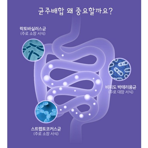 미국에서 온 프리미엄 유산균으로 장 건강 관리하기