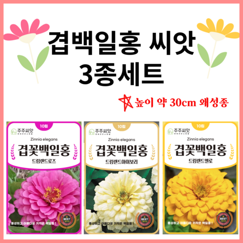 겹꽃 백일홍 씨앗 10립 3종세트 드림랜드 로즈 옐로 아이보리 키작은 왜성종 백일홍 종자 씨 - 꽃씨앗 | 쿠팡