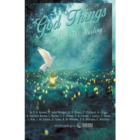God Things: Hope for the Hurting Paperback, Monarch Educational Services, L.L.C.