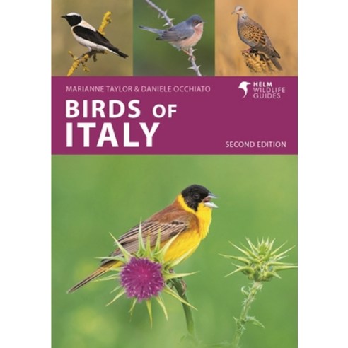 (영문도서) Birds of Italy: Second Edition Paperback, Helm, English, 9781399410649