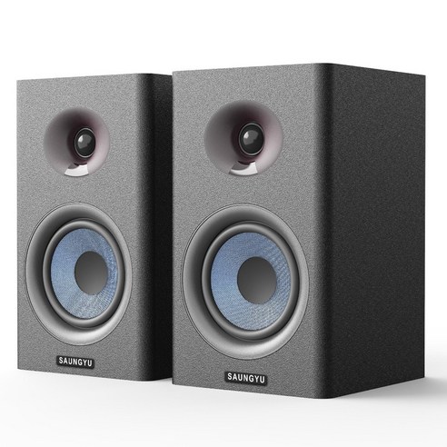 SAUNGYU 2채널 Hi-Fi 100W 고출력 블루투스 북쉘프 스피커, BK4020D, A블랙