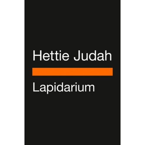 (영문도서) Lapidarium: The Secret Lives of Stones Hardcover, Penguin Books, English, 9780143137412
