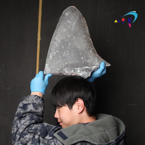 샥스핀 원재료 상어 지느러미 10kg -60도 초저온 고속동결 상품