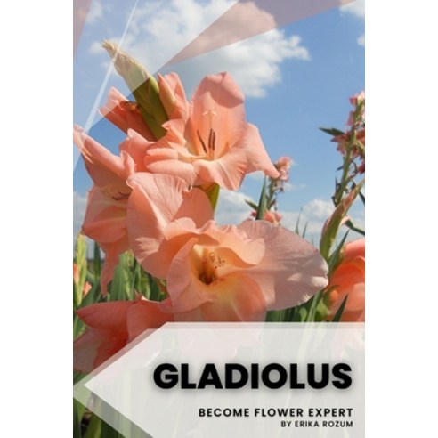 (영문도서) Gladiolus: Become flower expert Paperback, Independently Published, English, 9798390934029