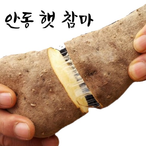 엄마네곳간 안동마 당일선별, 1박스, [산마] 상품 2kg