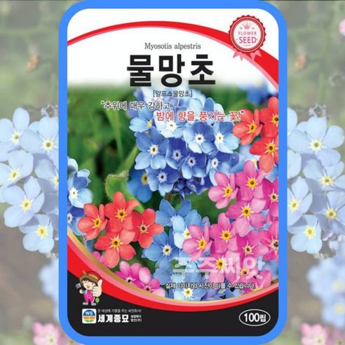 정원의 화려함과 생기를 위한 꽃씨 5종세트