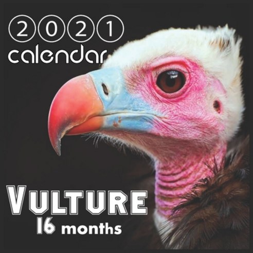 Vulture 2021 Wall Calendar: vulture scavenging bird of prey 16 Months "8.5x8.5" Inch Wall 2021 Calendar Paperback, Independently Published, English, 9798696111728