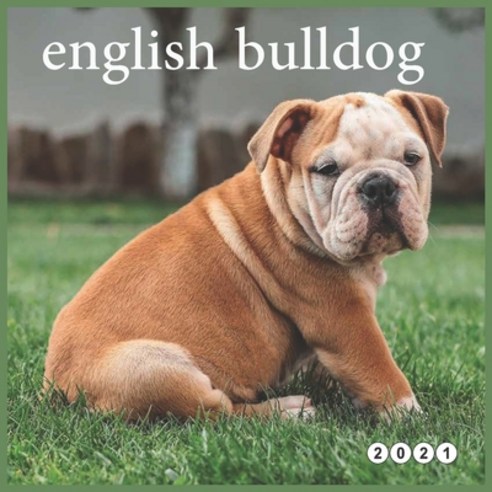 english bulldog: Calendar 2021 -12 Month Calendar - Dogs Calendar 2021 Paperback, Independently Published, 9798705316595