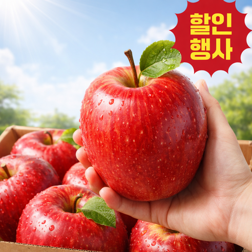 [지금안사면손해] 산지직송 초고당도 부사 사과