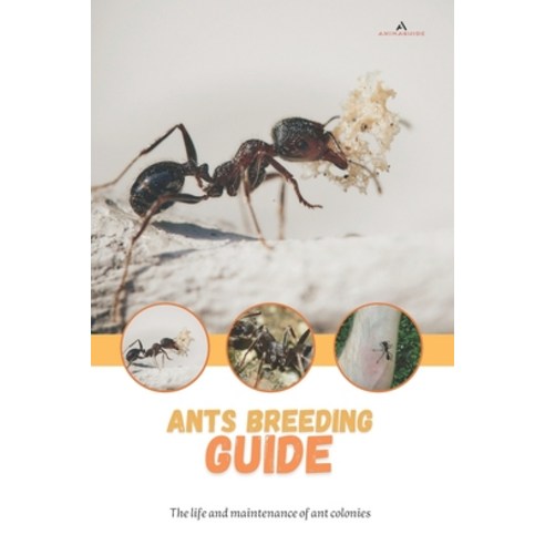 (영문도서) Ants breeding guide: The life and maintenance of ant colonies ...