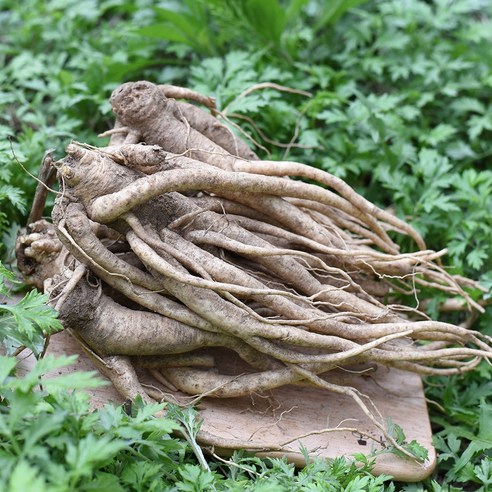 국내산 약도라지 1kg, 상, 1개