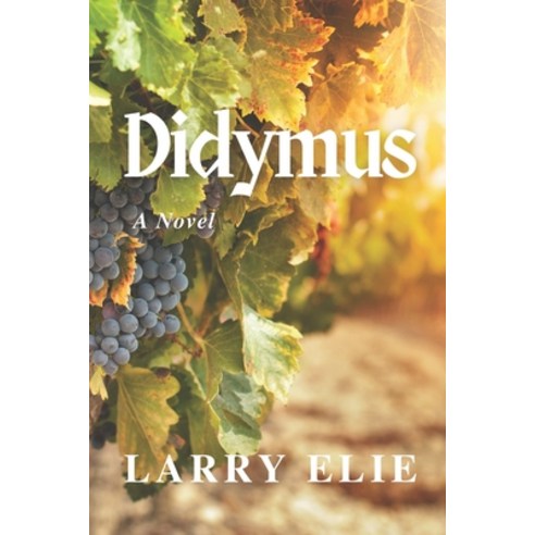 (영문도서) Didymus Paperback, Credo House Publishers, English, 9781625862464
