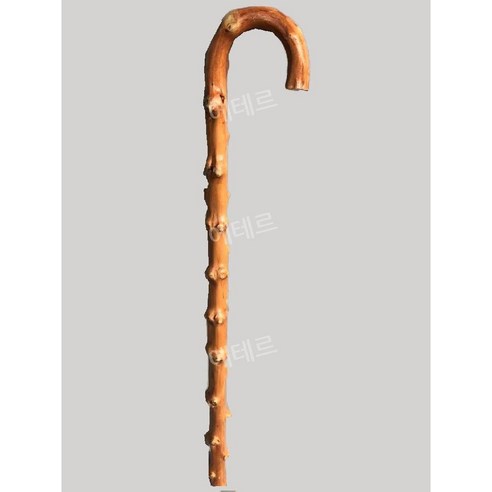 세월의 지혜를 담은 벗, 명아주 지팡이 청려장 명아주지팡이