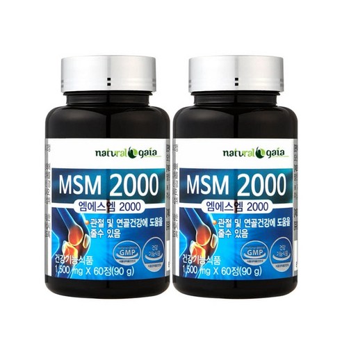 MSM 2000 2병