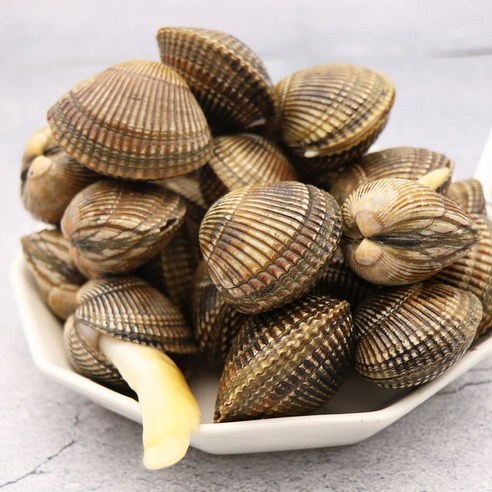 당일손질 자연산 여수 새조개: 최고의 맛과 신선함을 즐기세요