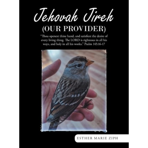 (영문도서) Jehovah Jireh (Our Provider) Hardcover, WestBow Press, English, 9781664264816