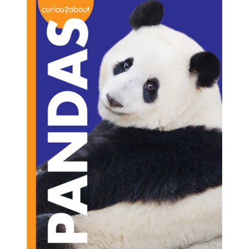(영문도서) Curious about Pandas Paperback, Amicus Ink, English, 9781681527024