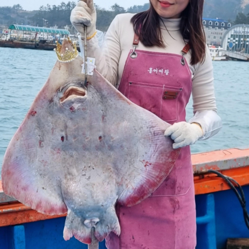 흑산도 산지직송 흑산도 홍어 국산 국내산 삭힌 싱싱 날개살 회 묵 코 삼합 택배 300g 500g 600g 1kg (수제초장 포함), 1개