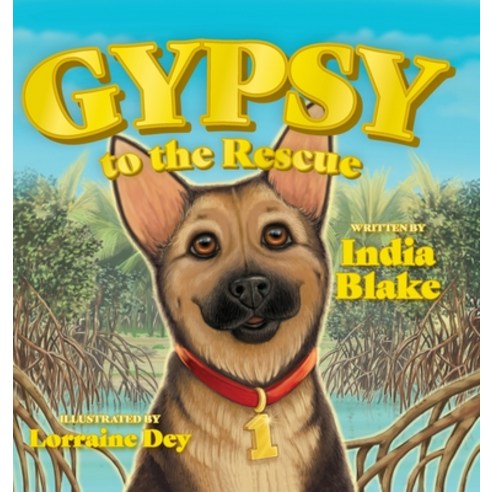 (영문도서) Gypsy to the Rescue Hardcover, Malakie Press, English, 9780578863061