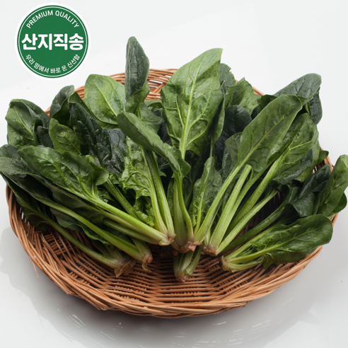[당일수확] 국내산 남해 해풍 시금치 (뿌리까지 달콤한 명품 시금치) 산지직송, 1개, 500g