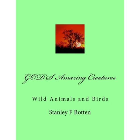 (영문도서) GOD''S Amazing Creatures: Wild Animals and Birds Paperback, Createspace Independent Pub..., English, 9781984124807